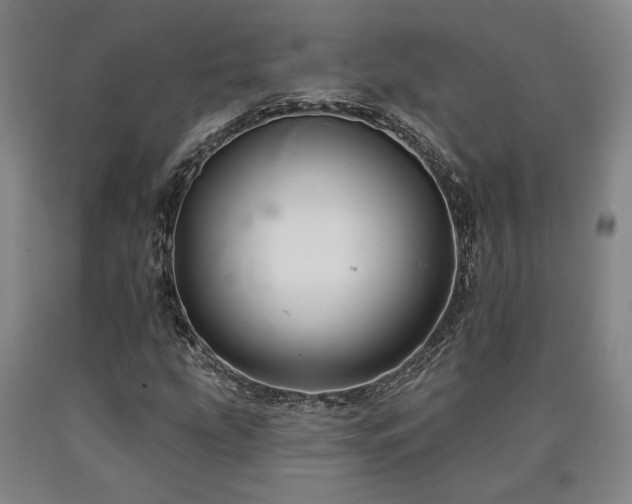 X0000090931207200707301547
