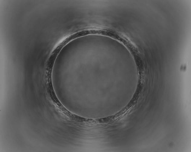 X0000090931208200707301547