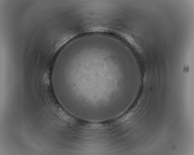 X0000090931209200707301547