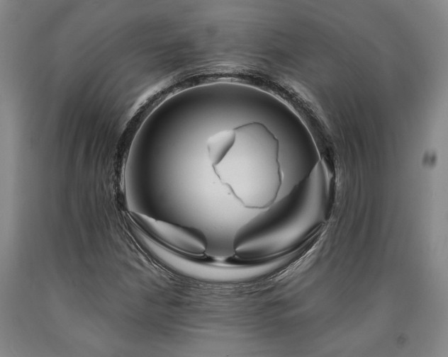 X0000090931210200707301547