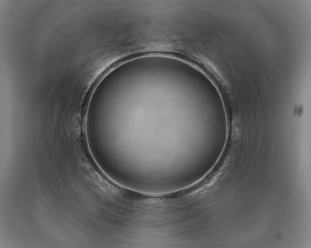 X0000090931212200707301547