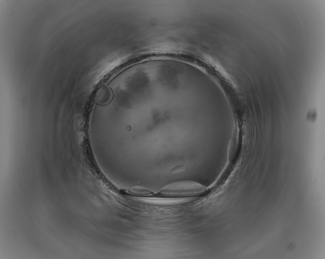 X0000090931213200707301547