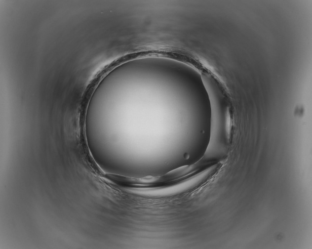 X0000090931214200707301547
