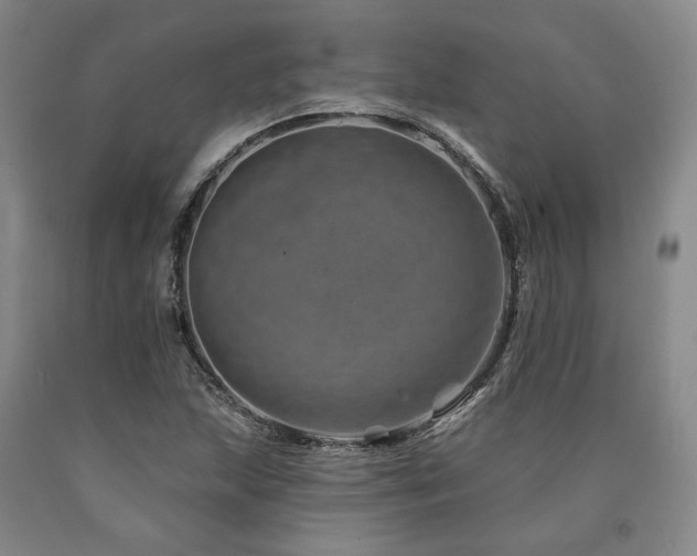 X0000090931215200707301547