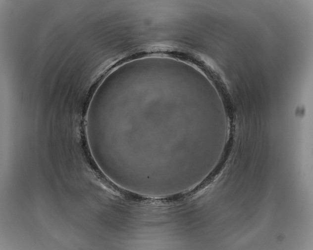 X0000090931217200707301547