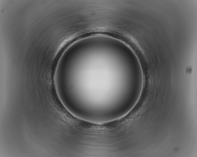 X0000090931218200707301547