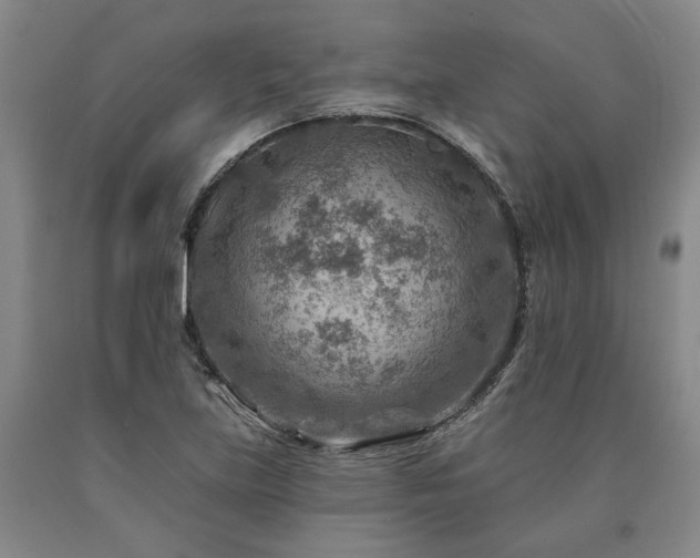 X0000090931219200707301547