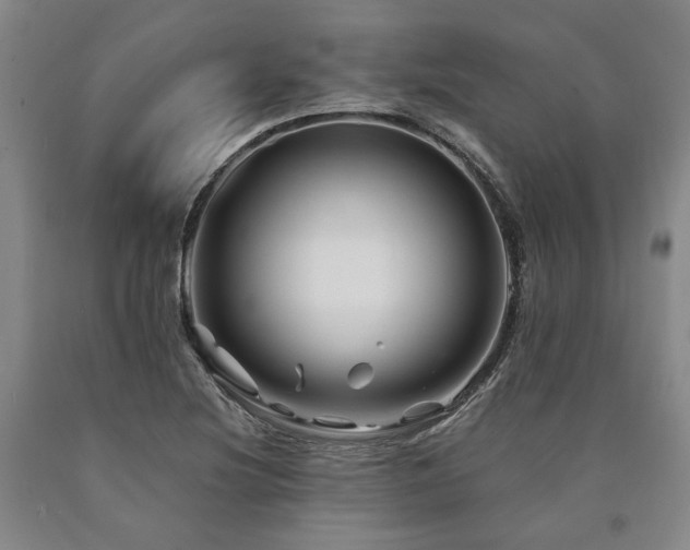 X0000090931220200707301547
