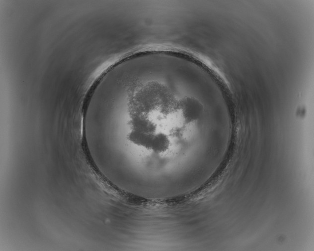 X0000090931221200707301547
