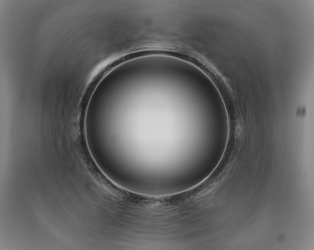 X0000090931222200707301547