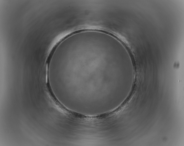 X0000090931223200707301547