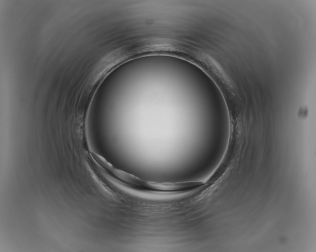 X0000090931225200707301547
