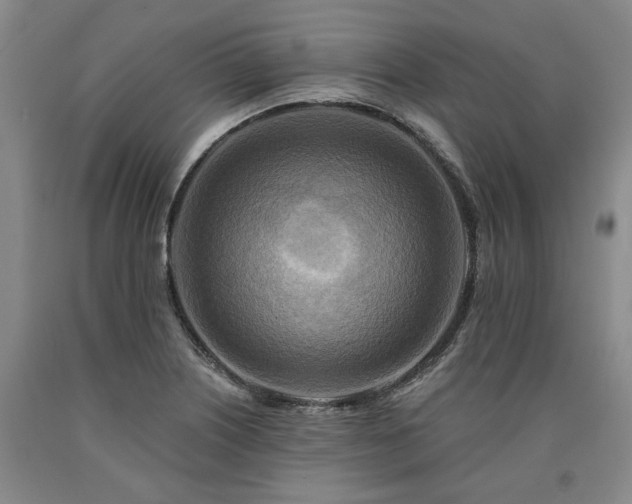 X0000090931226200707301547