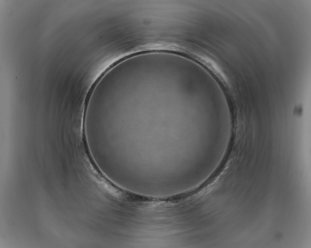 X0000090931228200707301547
