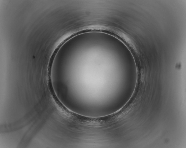 X0000090931229200707301547