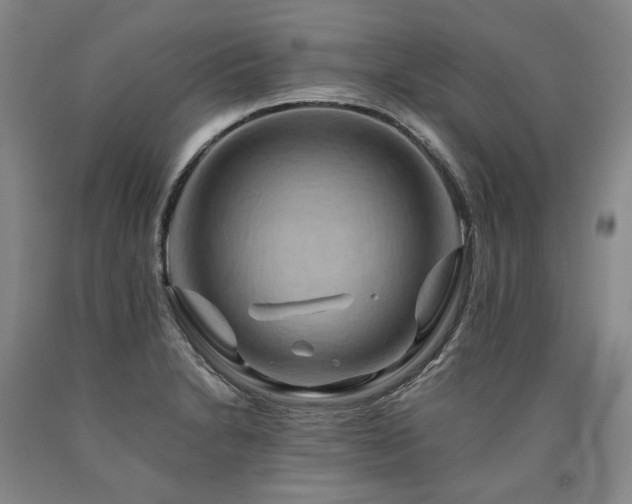 X0000090931230200707301547