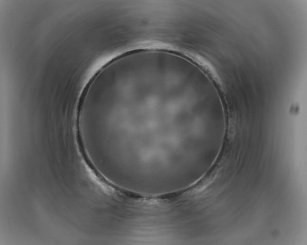 X0000090931231200707301547