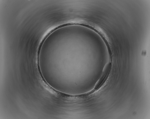 X0000090931232200707301547
