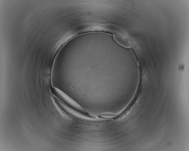 X0000090931233200707301547