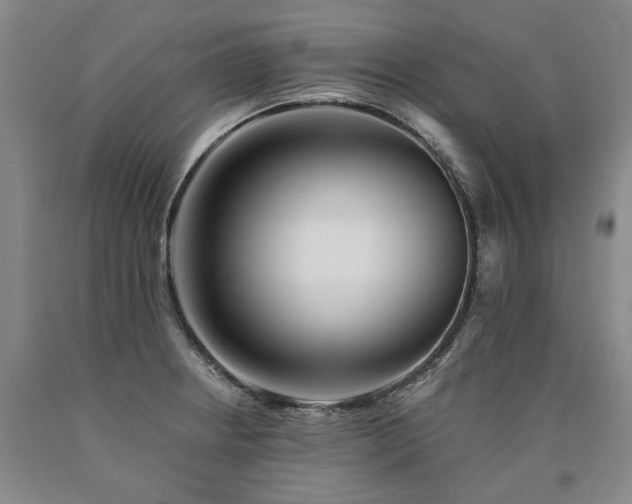 X0000090931234200707301547