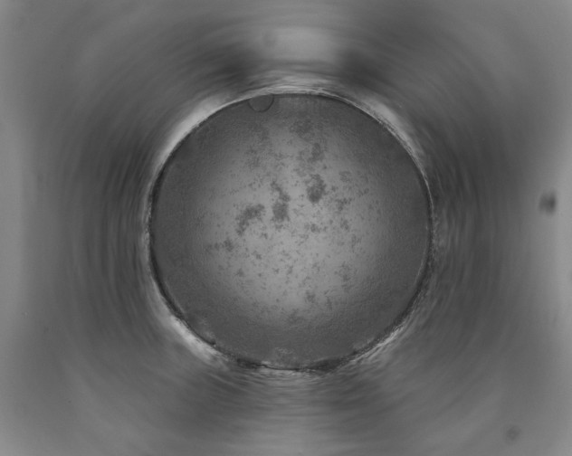 X0000090931235200707301547
