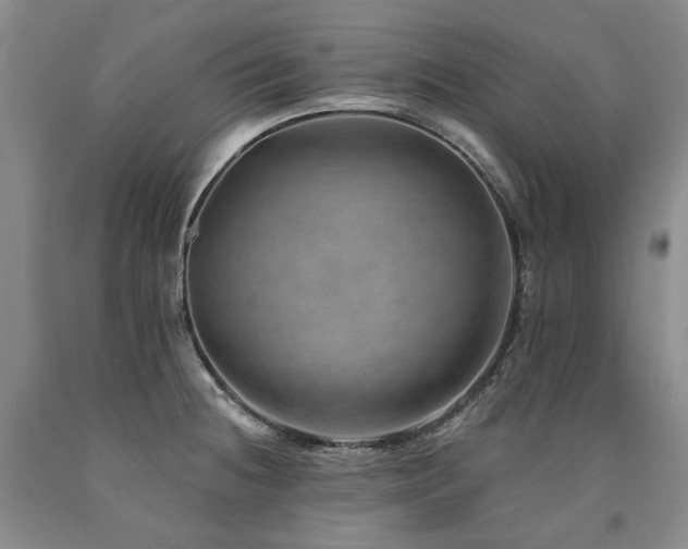 X0000090931236200707301547
