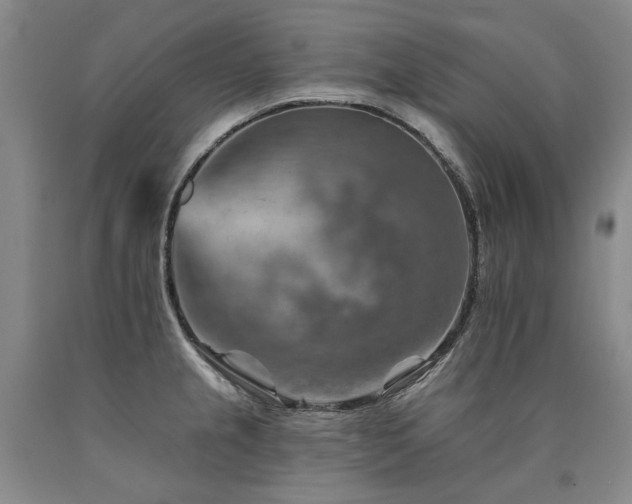 X0000090931237200707301547