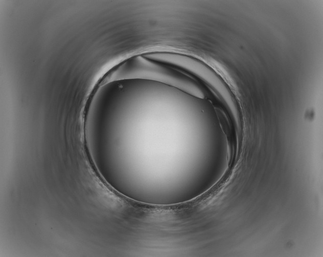X0000090931238200707301547