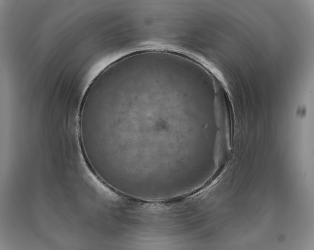 X0000090931239200707301547