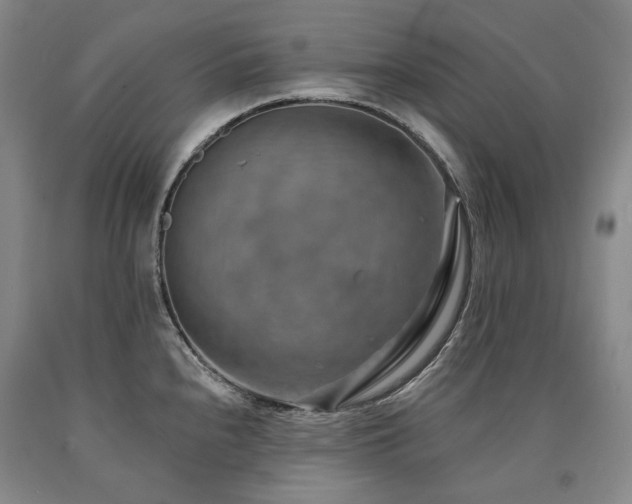 X0000090931240200707301547