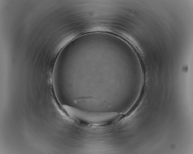 X0000090931241200707301547