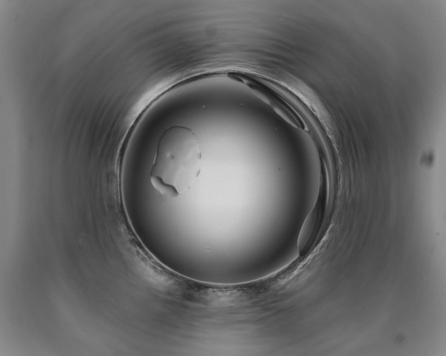X0000090931242200707301547