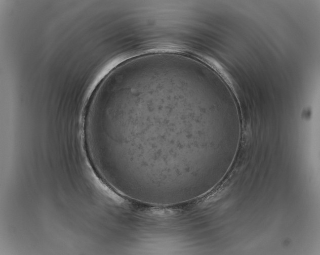 X0000090931243200707301547