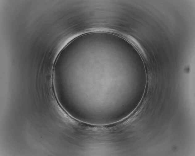 X0000090931244200707301547