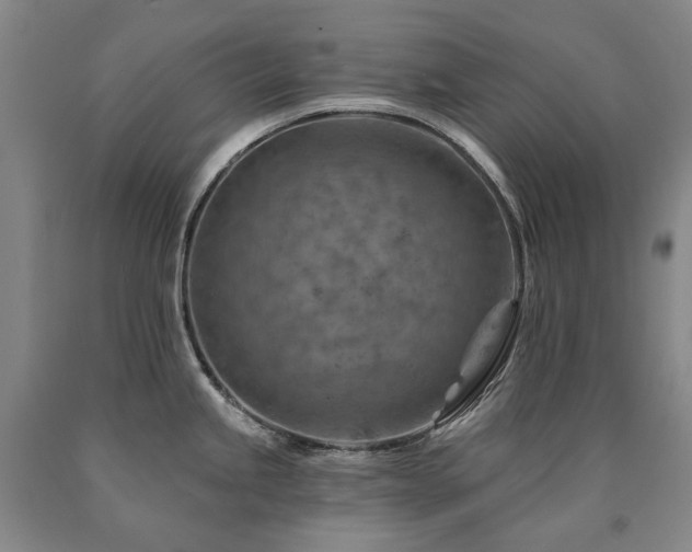 X0000090931245200707301547