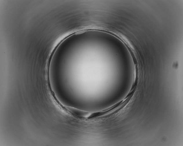 X0000090931246200707301547