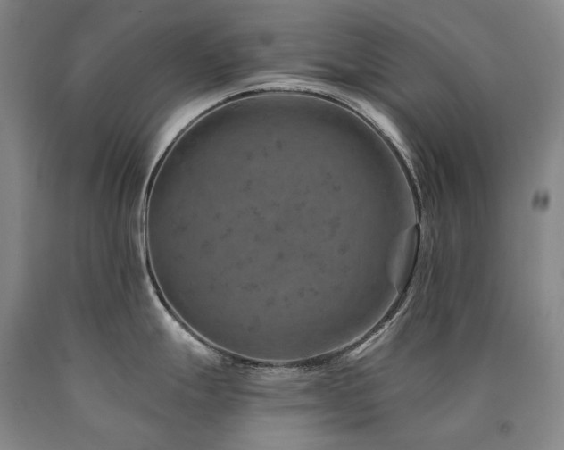 X0000090931247200707301547