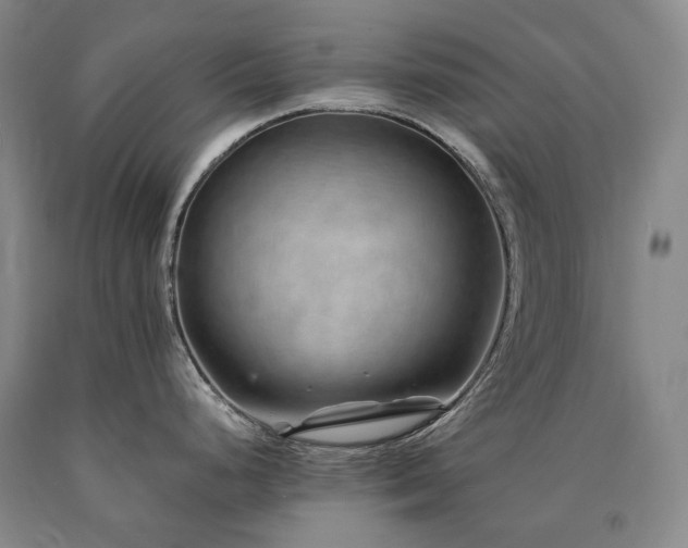 X0000090931248200707301547