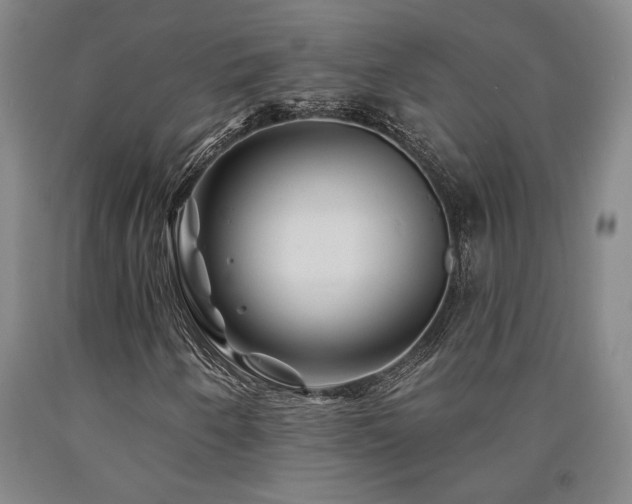 X0000090931250200707301547
