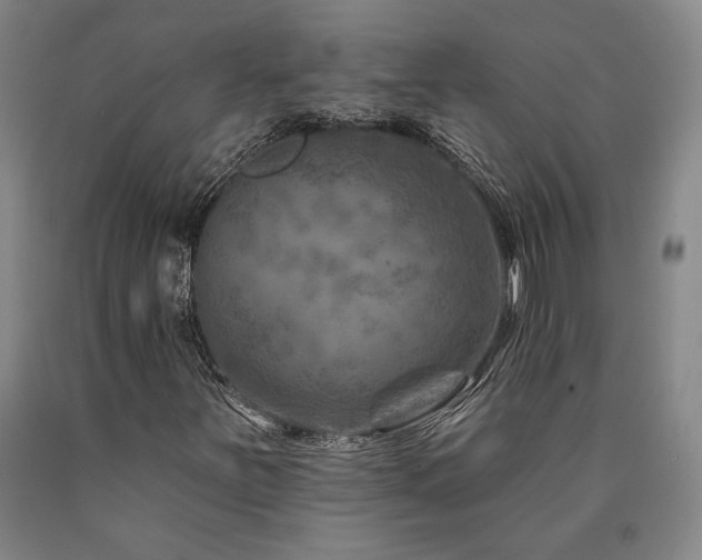 X0000090931251200707301547