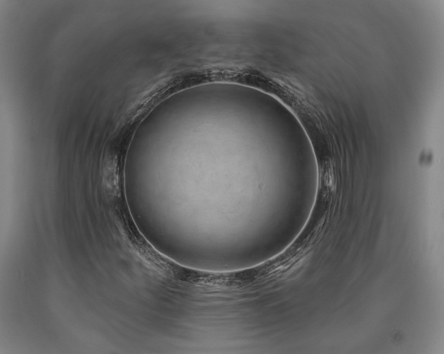 X0000090931252200707301547
