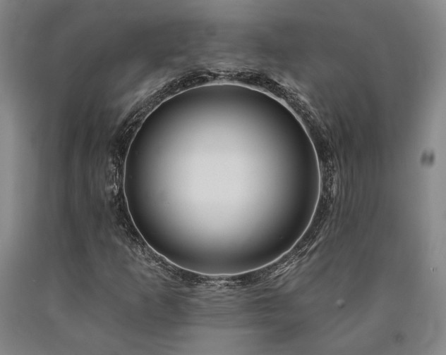 X0000090931253200707301547