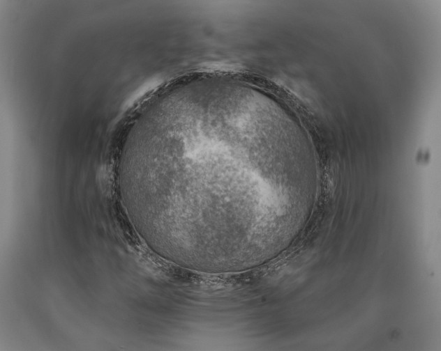 X0000090931254200707301547