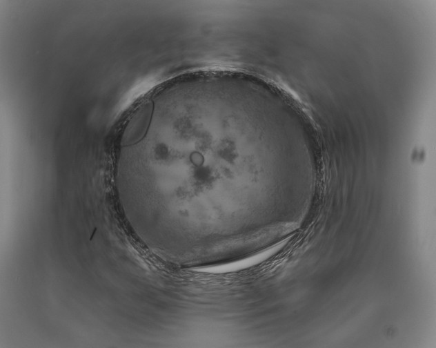 X0000090931255200707301547