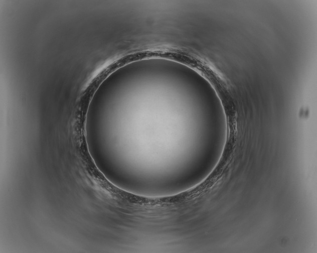 X0000090931256200707301546