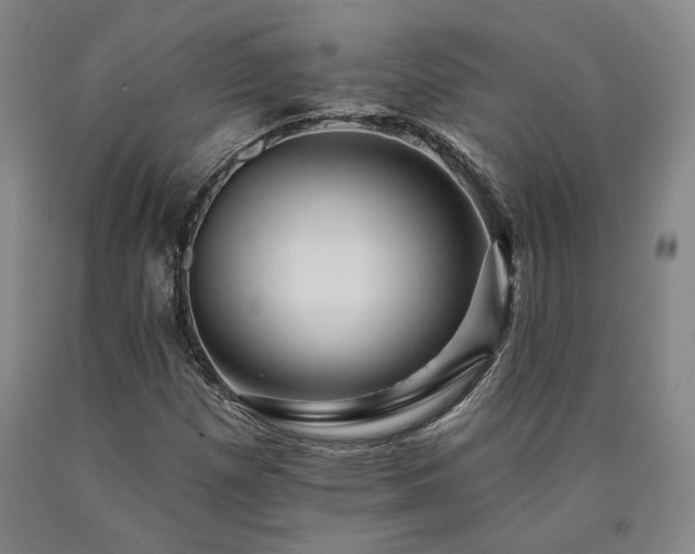 X0000090931257200707301546