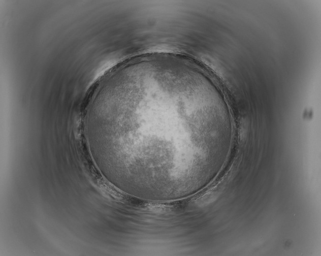 X0000090931258200707301546