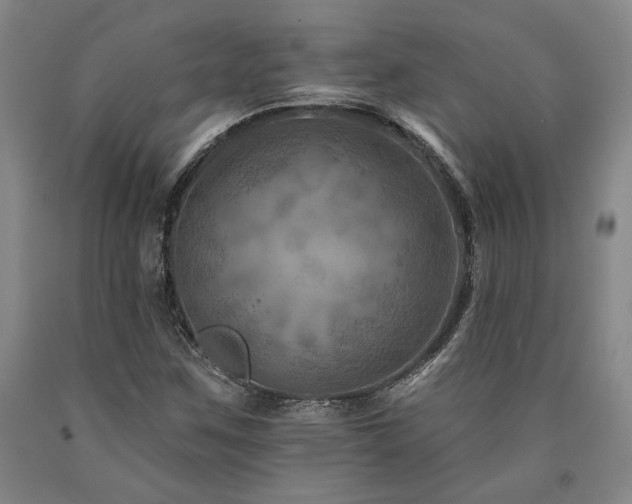 X0000090931259200707301546