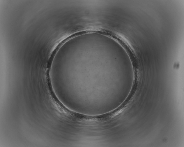 X0000090931260200707301546