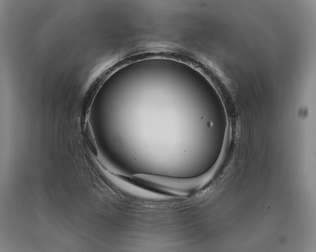 X0000090931261200707301546